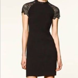 Zara black lace slim dress